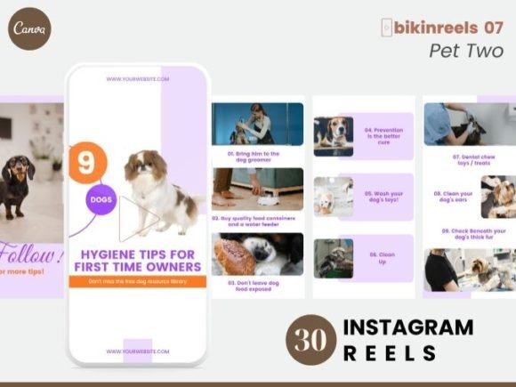 Effortless Pet Content Creation with Canva Reels Templates